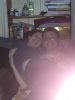 2004.01.01_-_006.jpg
