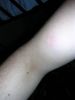 2005.02.23_-_028.jpg