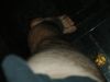2005.04.14_-_015.JPG