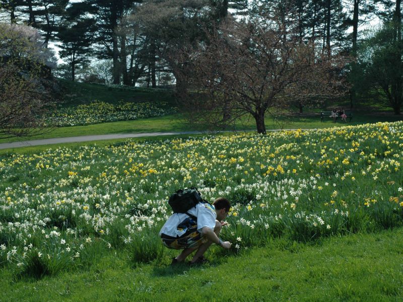 2005.04.20_-_473.JPG