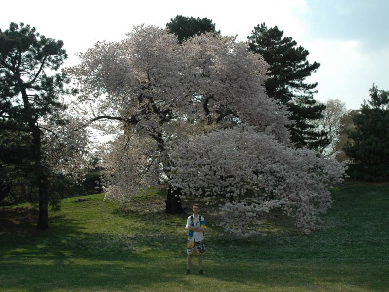 2005.04.20_-_479.JPG
