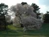 2005.04.20_-_479.JPG