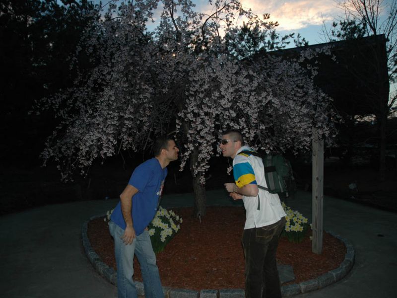 2006.04.13_-_094.JPG