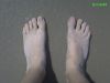 2007_08_14_-_Palm_-_006.jpg