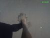 2007_08_14_-_Palm_-_009.jpg