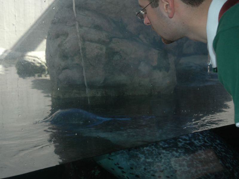 2008_09_08_-_Nikon_D70_-_021.JPG