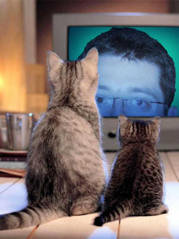 2008_12_10_-_PhotoFunia_-_026.jpg