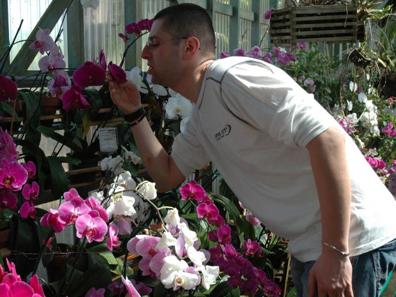 2009_03_17_-_Nikon_D70_-_035.JPG