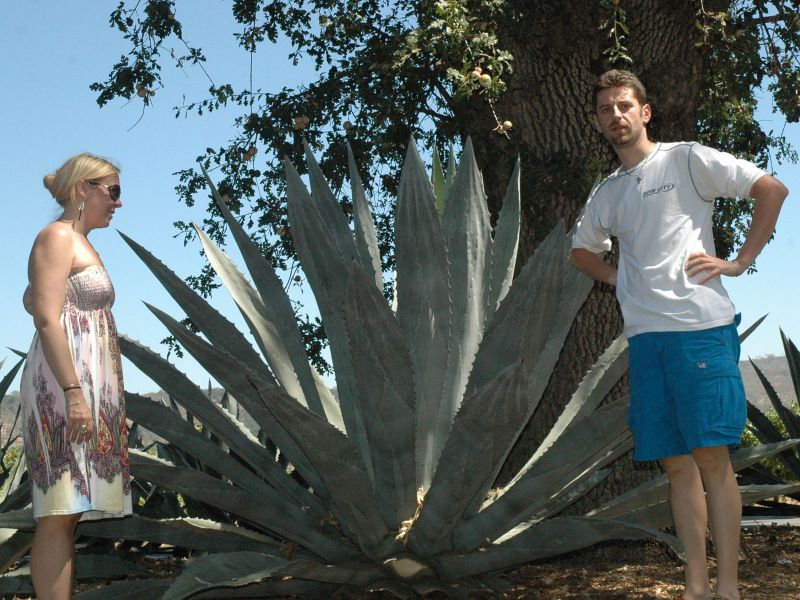 2009_08_26_-_Nikon_D70_-_079.JPG