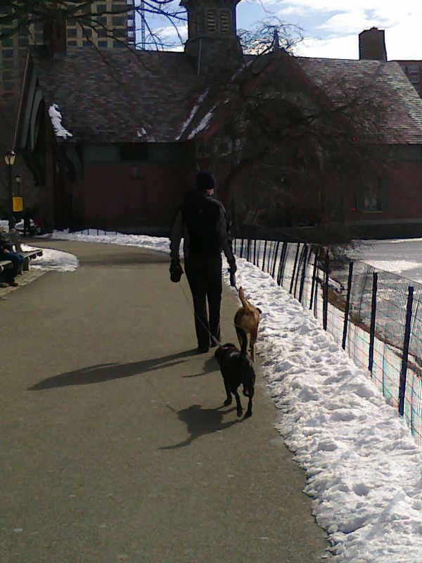 2010_02_14_-_Palm_Pre_-_007.jpg