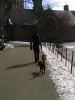 2010_02_14_-_Palm_Pre_-_007.jpg