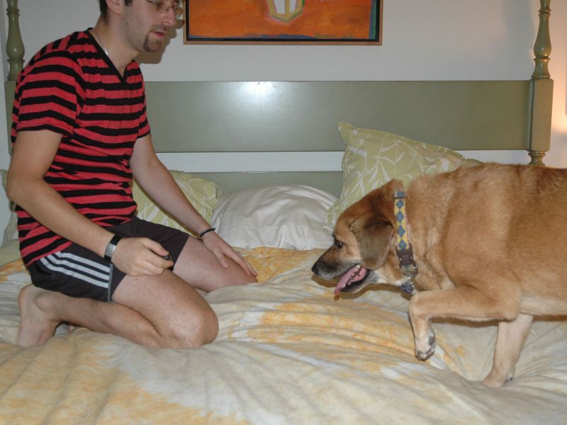 2011_08_20_-_040_-_Nikon_D70.JPG