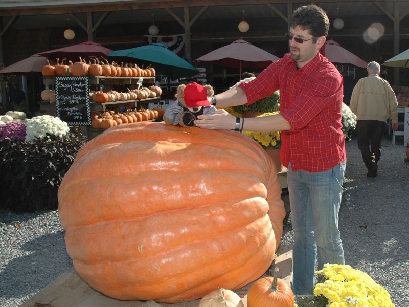 2013_10_26_-_015_-_Nikon_D70.JPG